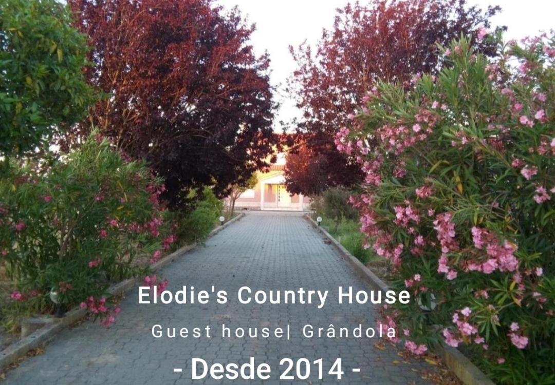 ホテル Elodie'S Country House - Alojamento Local Grândola エクステリア 写真
